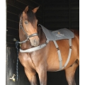 Equilibrium Massage Pad - 3 Length Sizes Available 